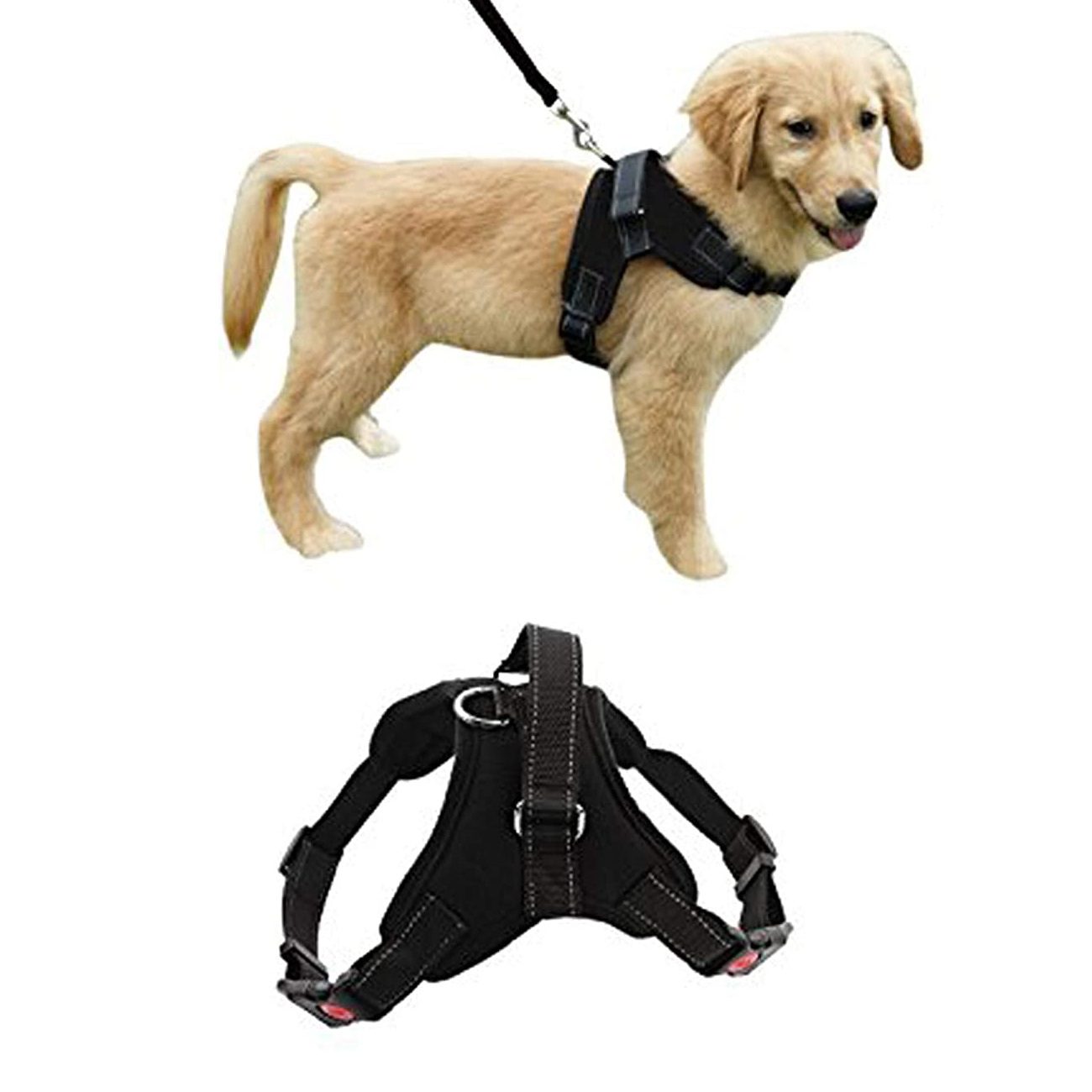 61NN13gae-L._AC_SL1500_.jpg AVX-KX5621 Ham pentru caini, reflectorizant, confortabil, marime XL