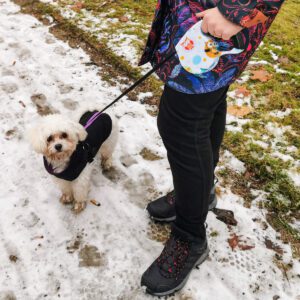 AVX-K6253 Lesa Retractabila Automata 5m lungime pentru caini de pana la 8kg