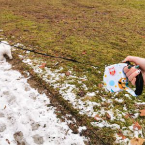 AVX-K6253 Lesa Retractabila Automata 5m lungime pentru caini de pana la 8kg