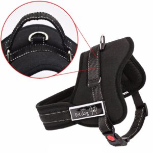 AVX-K77451 Ham pentru caini SENIOR DOG S (60 - 75cm)